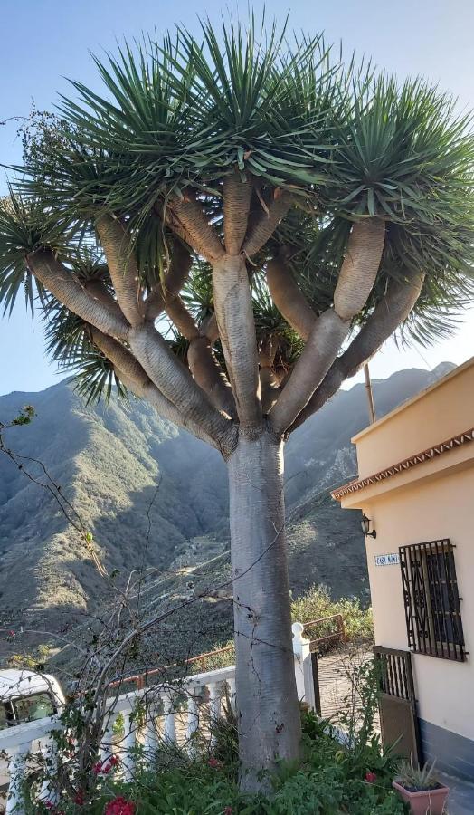 Casa Noni Villa Santa Cruz de Tenerife Exterior foto